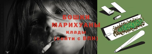 хмурый Ладушкин