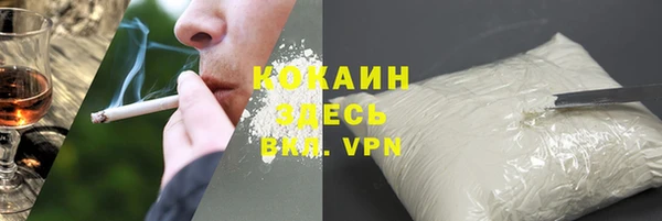хмурый Ладушкин