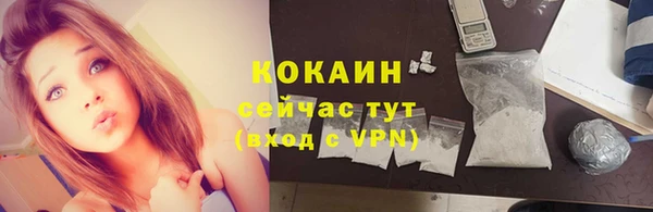 хмурый Ладушкин