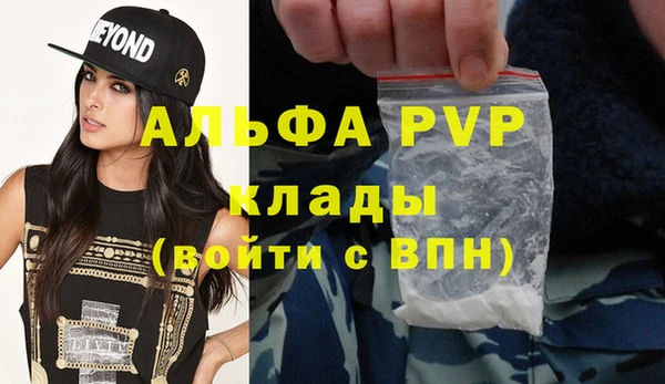 хмурый Ладушкин