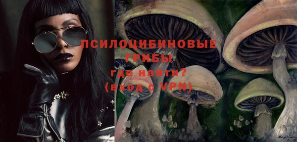 метадон Лагань