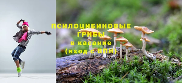 ПСИЛОЦИБИНОВЫЕ ГРИБЫ Лабытнанги