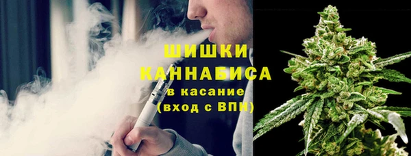 хмурый Ладушкин