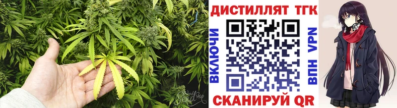ТГК концентрат  Купить  Волоколамск 