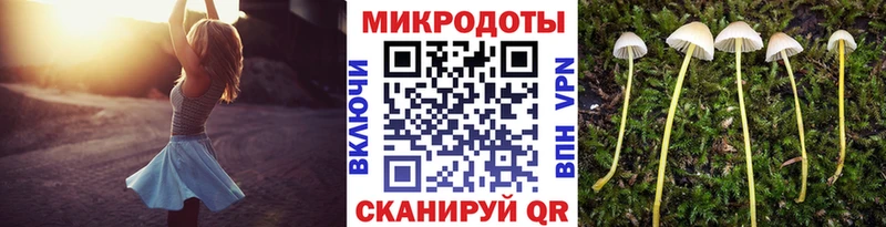 Галлюциногенные грибы мицелий  Купить закладки  Волоколамск 